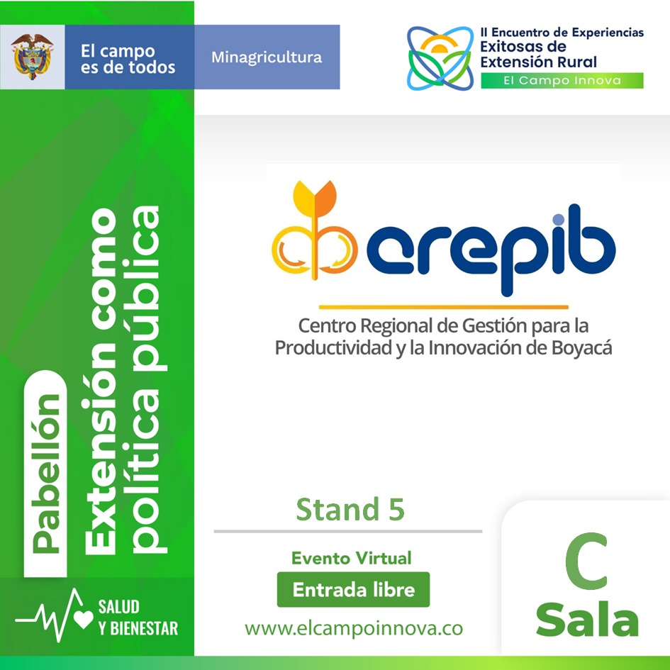 Proyecto Abejas