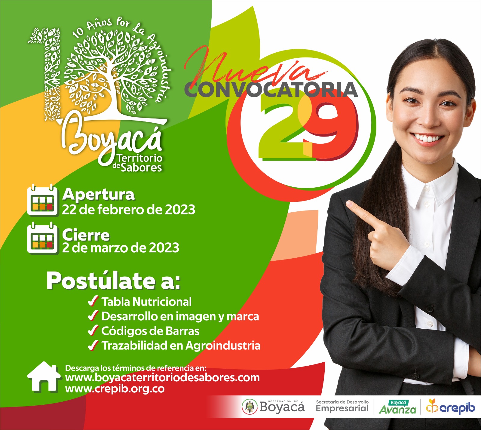 Pieza gráfica Convocatoria No. 29 BTS